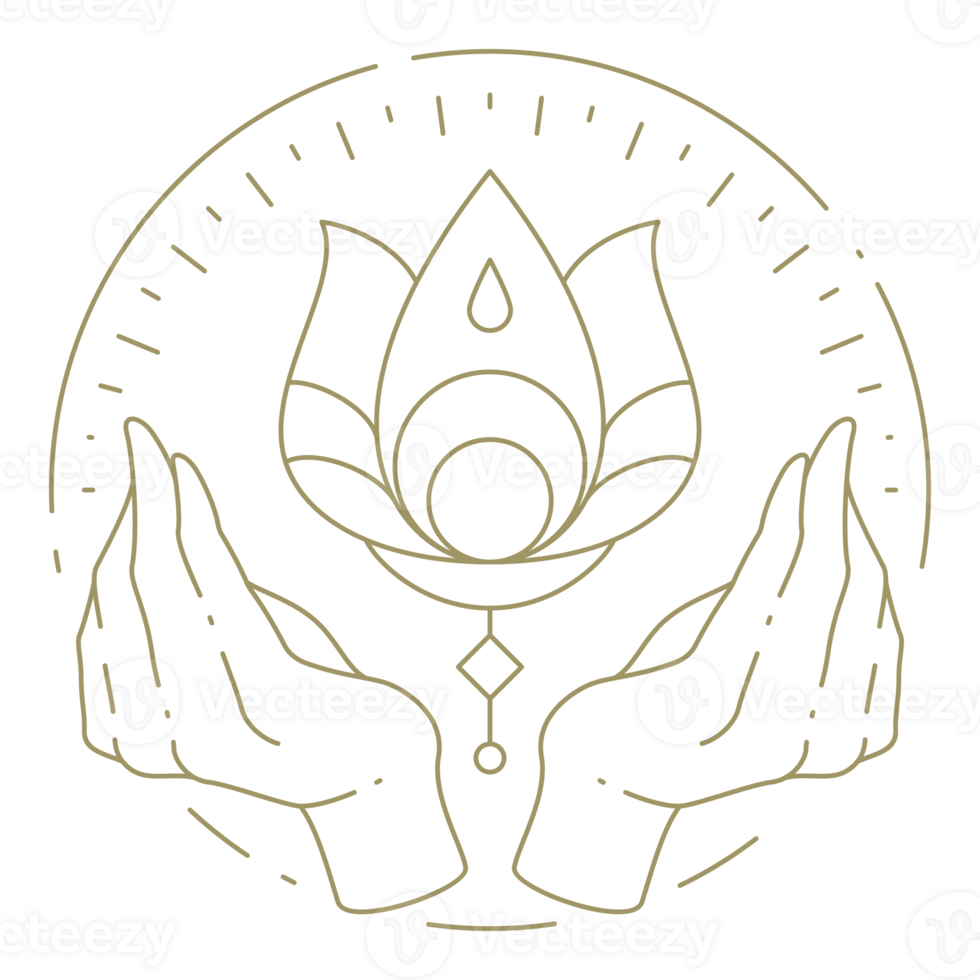 Hands holding flower line art design element png