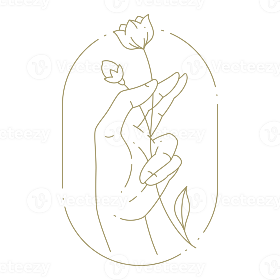 Hand holding flower line art design element png