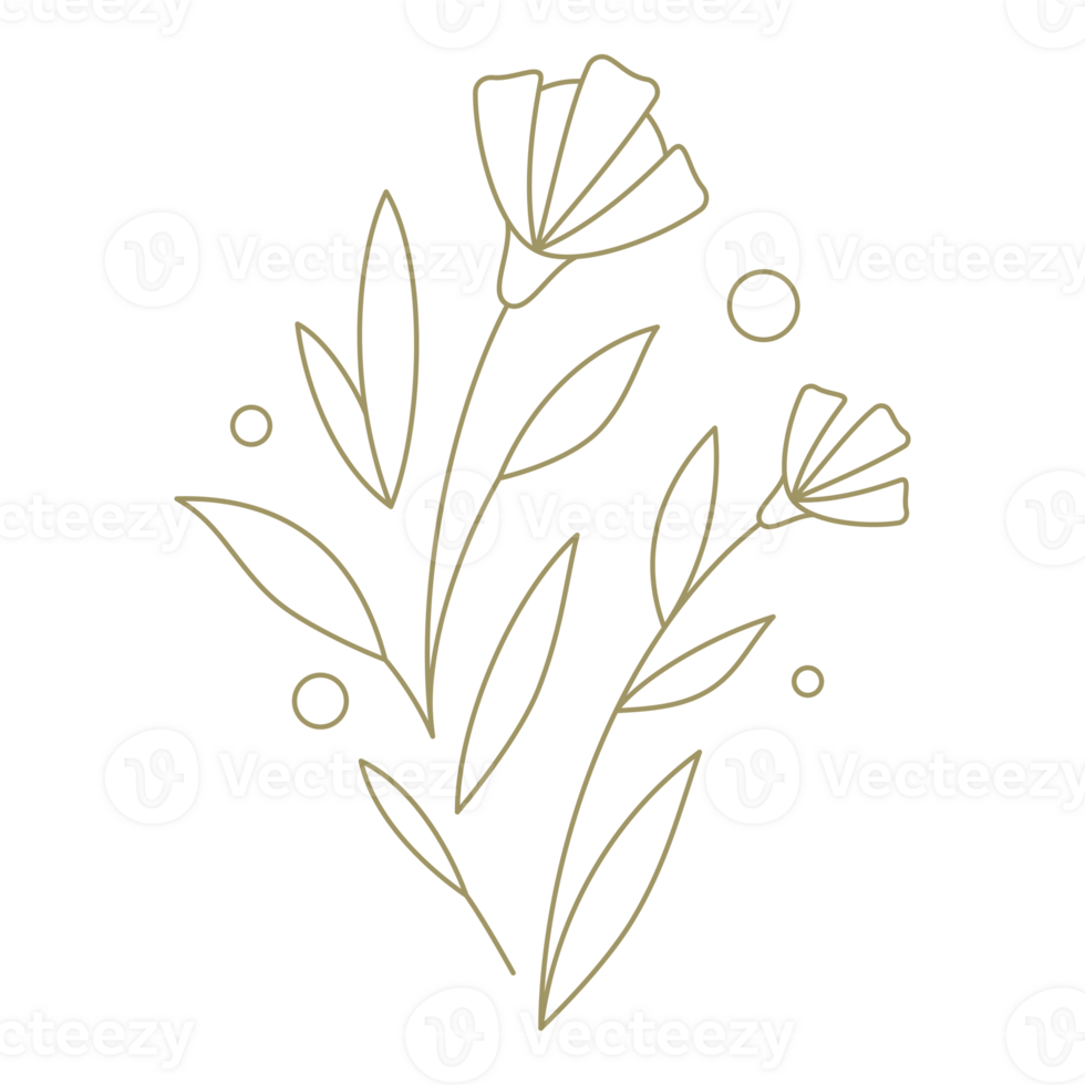 Branch with berries and flower line art design element png