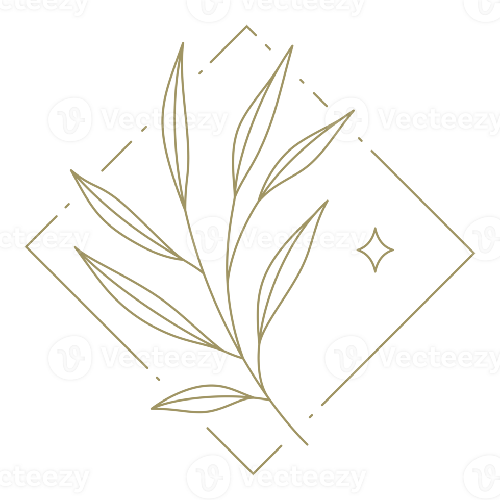 Floral line art sqaure frame design element png