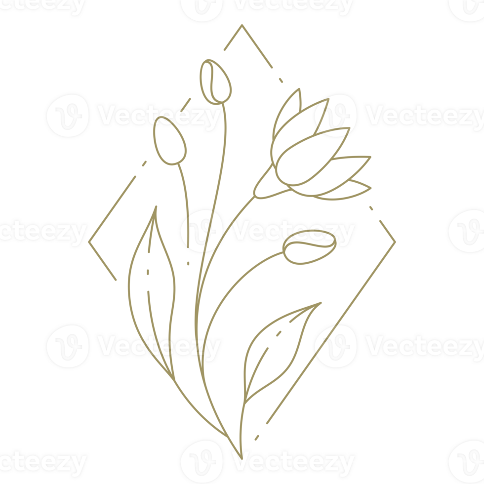 Branch with flower line art design element png