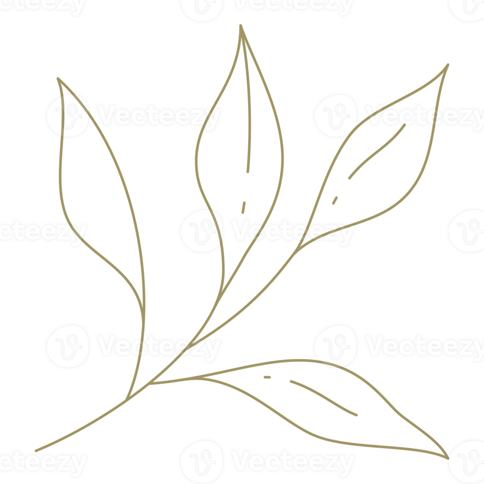 Minimalist branch with leaves line art design element png