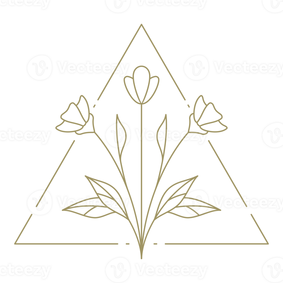 Flower in triangle frame line art design element png