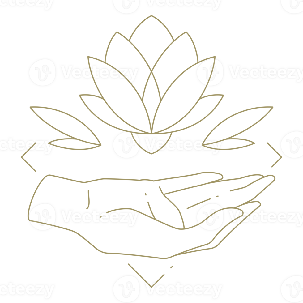 Hands holding flower line art design element png