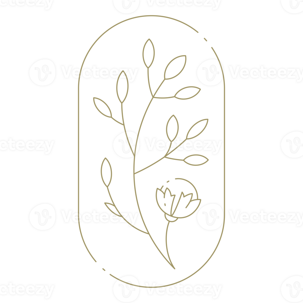 Flower in oval frame line art design element png