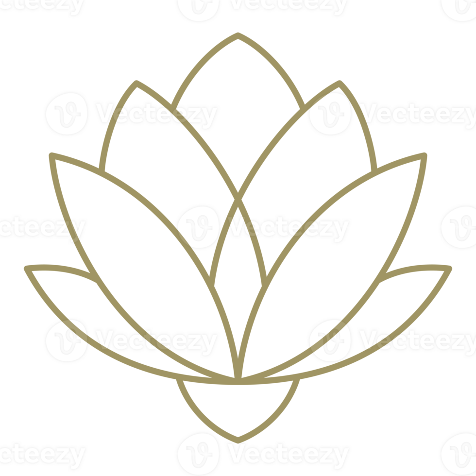Lotus flower line art design element png