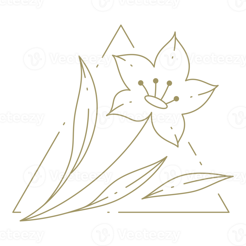 Flower in triangle frame line art design element png