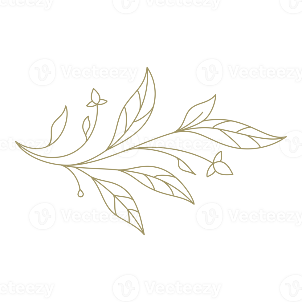 Minimalist branch with leaves line art design element png