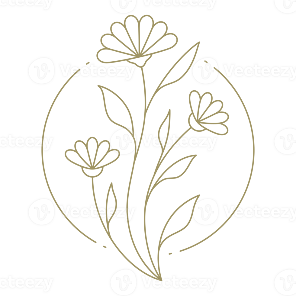 Flower in circle frame line art design element png