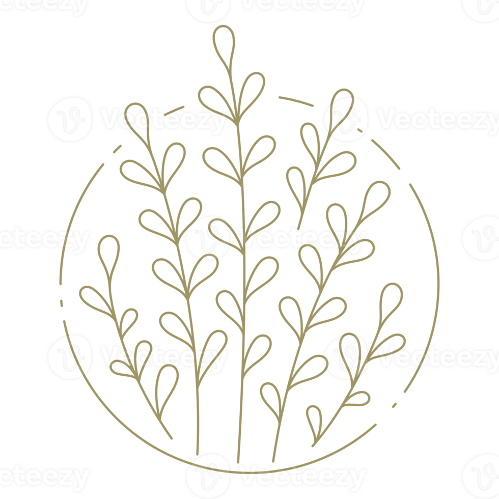 Branches with lieaves in circle frame line art design element png