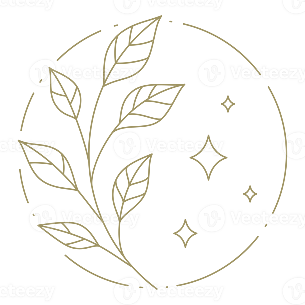 Branch with lieaves in circle frame line art design element png