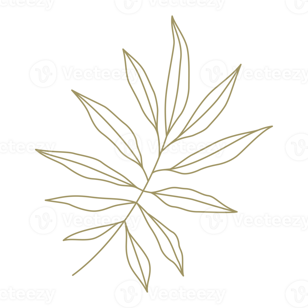 Minimalist branch with leaves line art design element png