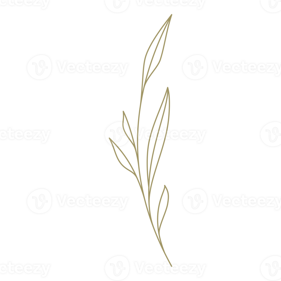 Minimalist branch with leaves line art design element png