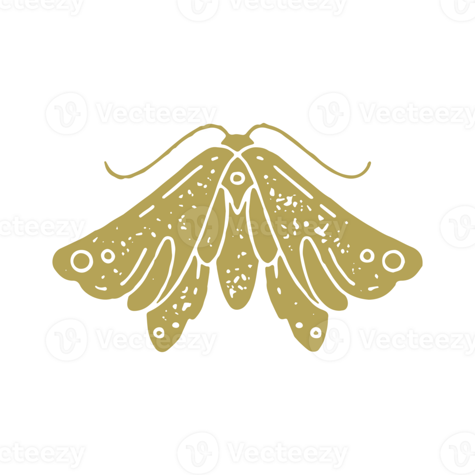 Antique golden butterfly with falling down wings and mustache decorative design grunge texture png