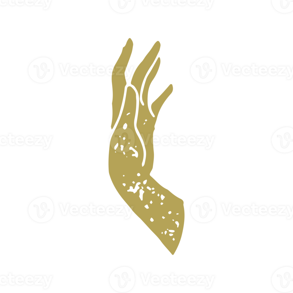 Elegant vertical raised female hand with fingers manicure minimalist drawing antique grunge texture png