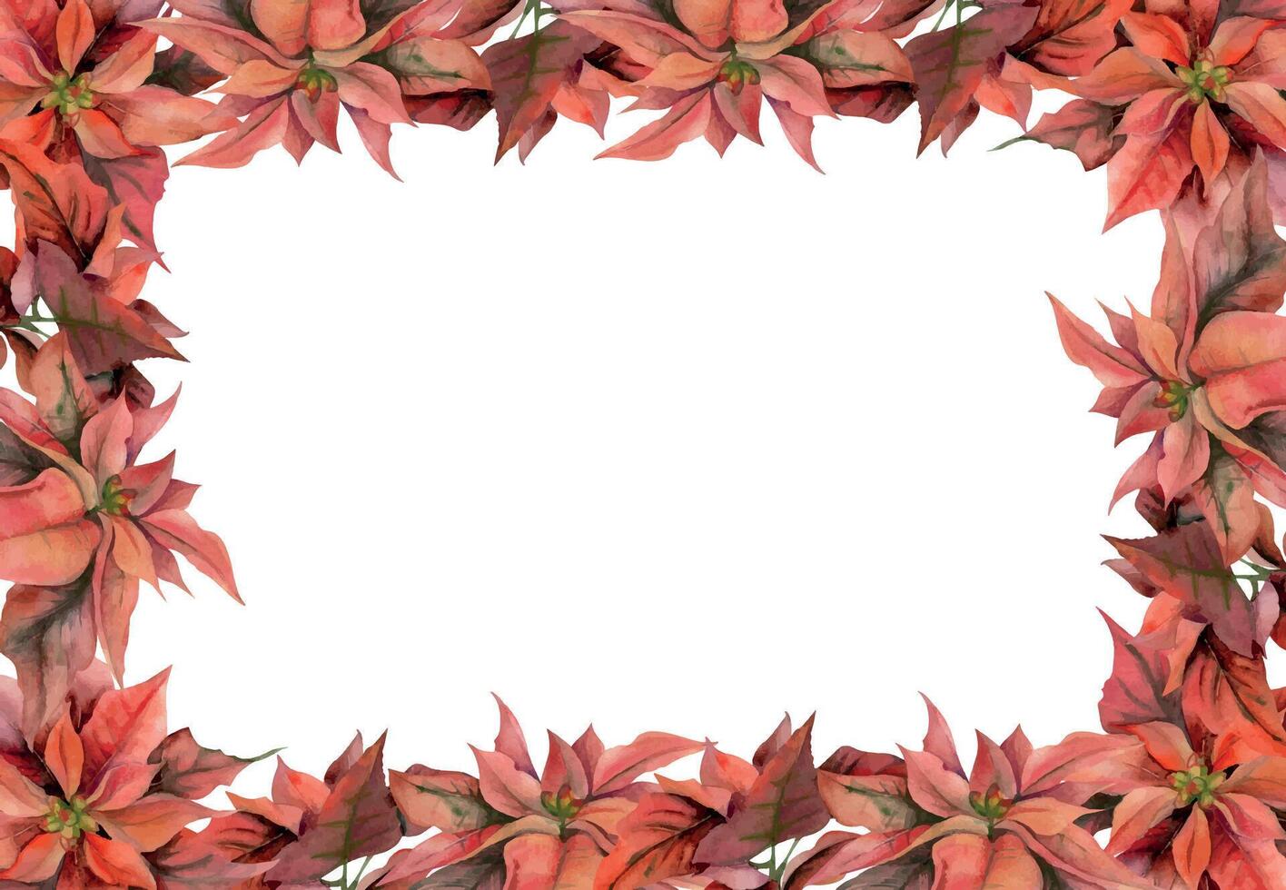 Red poinsettia flowers and leaves. Watercolor hand drawn illustration, border frame isolated on white. Xmas, happy new year festive, noel navidad holiday. For cards, gifts, florist shop, wedding vector