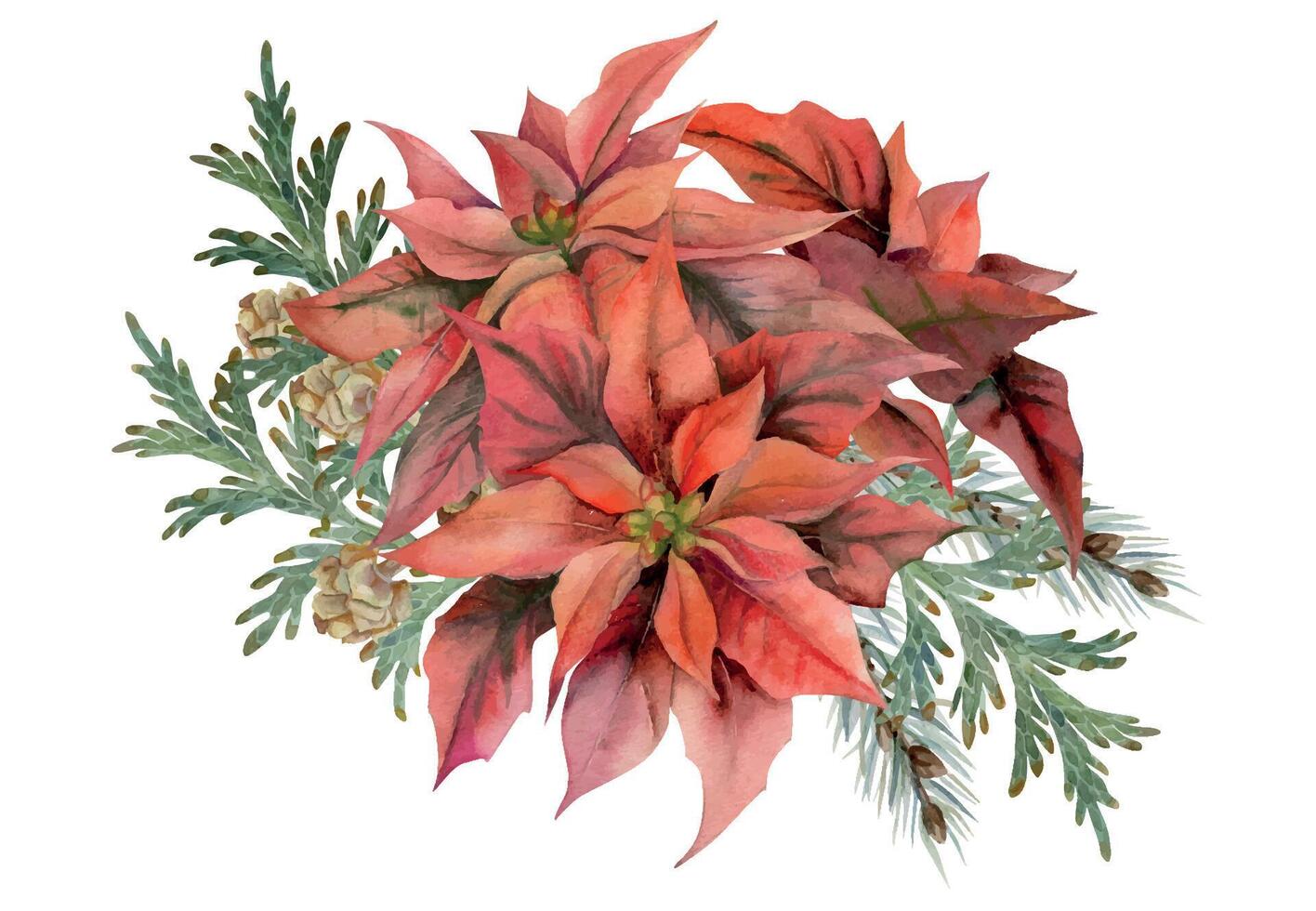 Poinsettia flowers, gold star baubles, juniper spruce branches cones. Watercolor hand drawn illustration, bouquet isolated on white. Xmas, happy new year festive noel navidad. Florist shop, wedding. vector