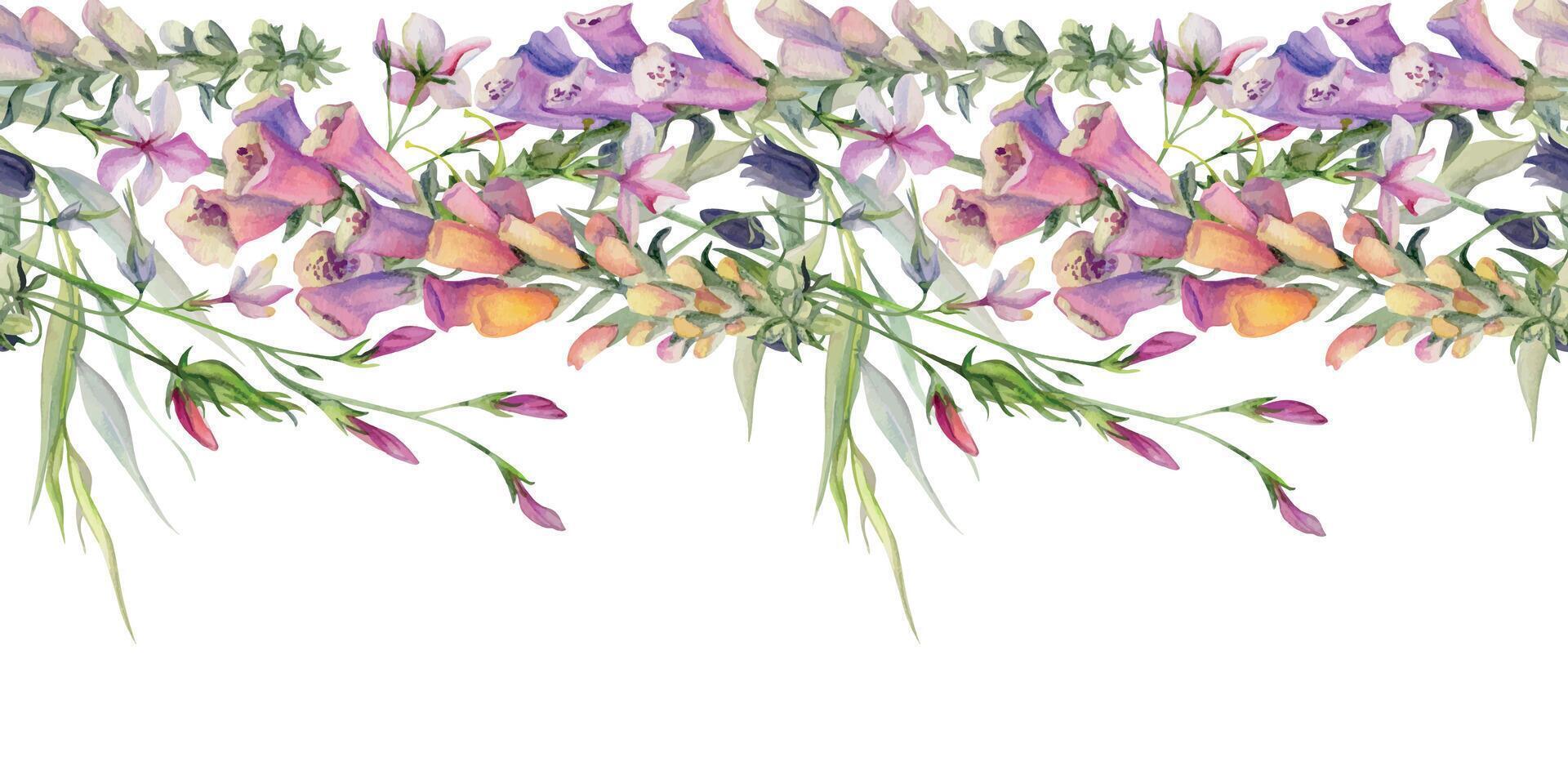 Hand drawn watercolor illustration botanical flowers leaves. Willow eucalyptus branch, foxglove snapdragon lupin, pink lobelia jasmine. Seamless banner isolated on white. Design wedding, love cards vector