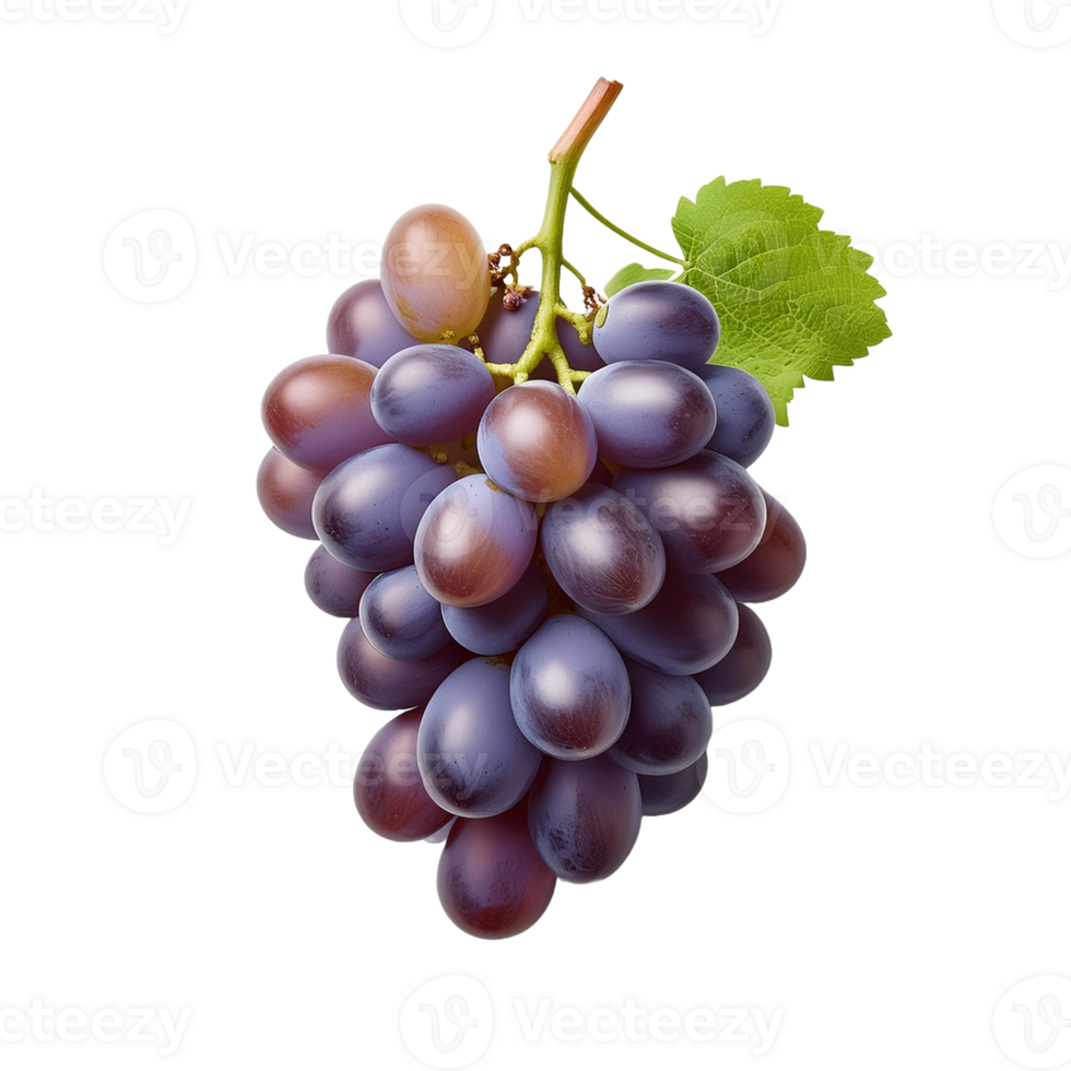 Purple Grape Fruit Image Without Background png