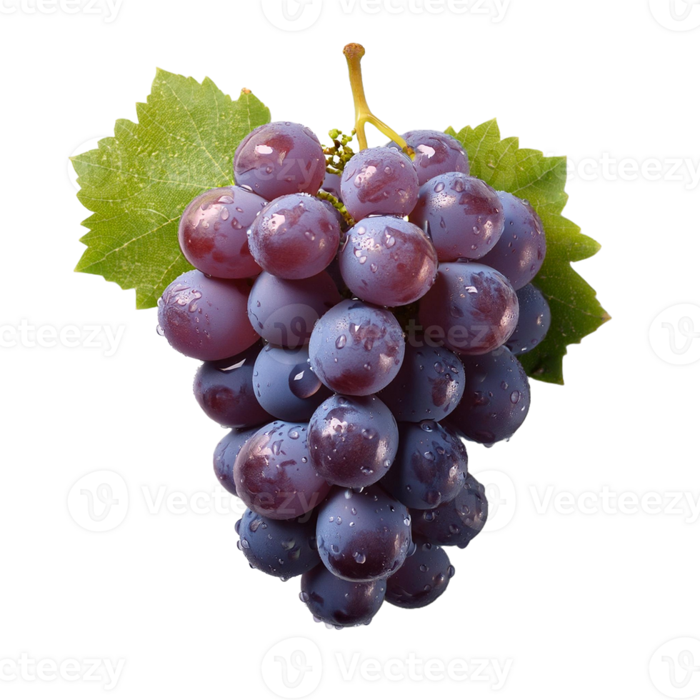 Purple Grape Fruit Without Background png