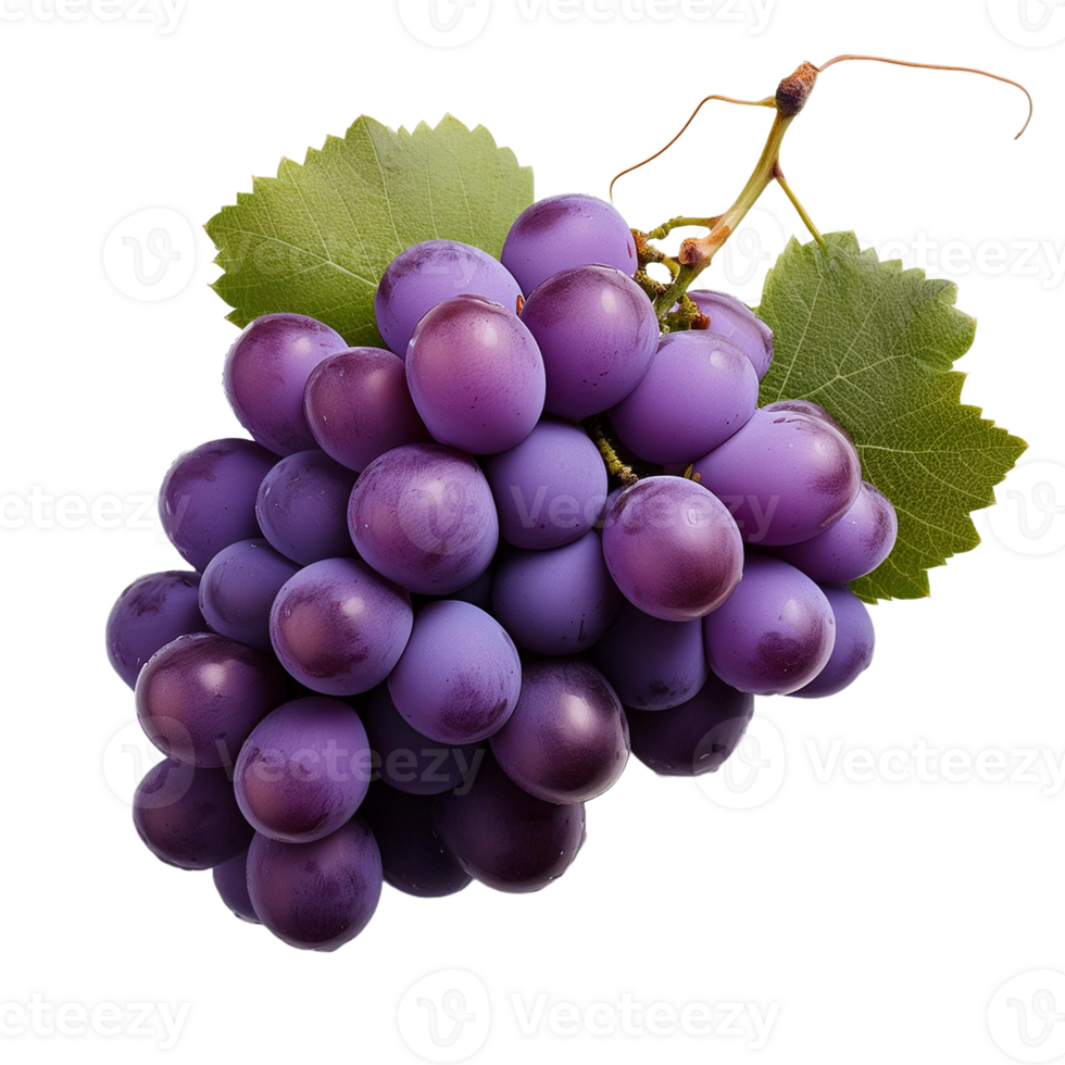 Purple Grape Fruit Without Background png