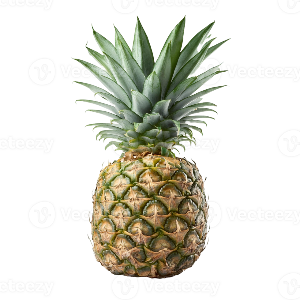 Without Background Pineapple png