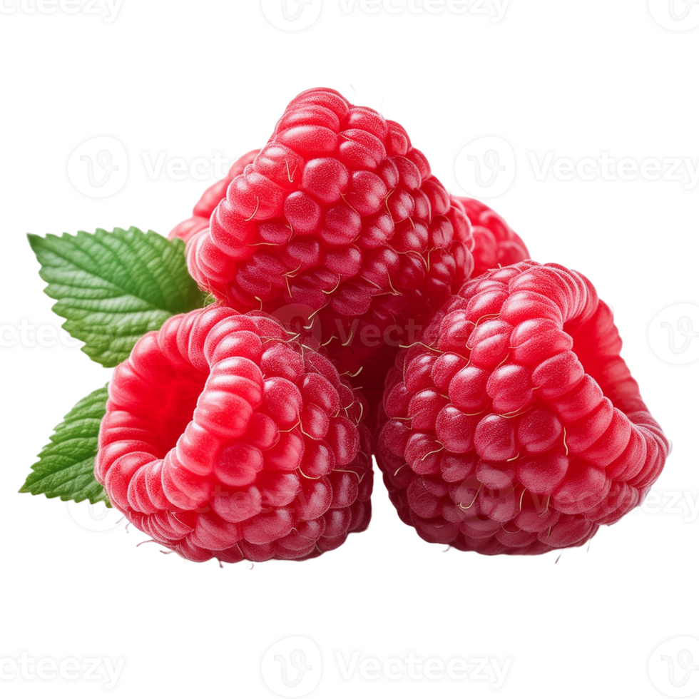 Image Without Background Red Raspberry png