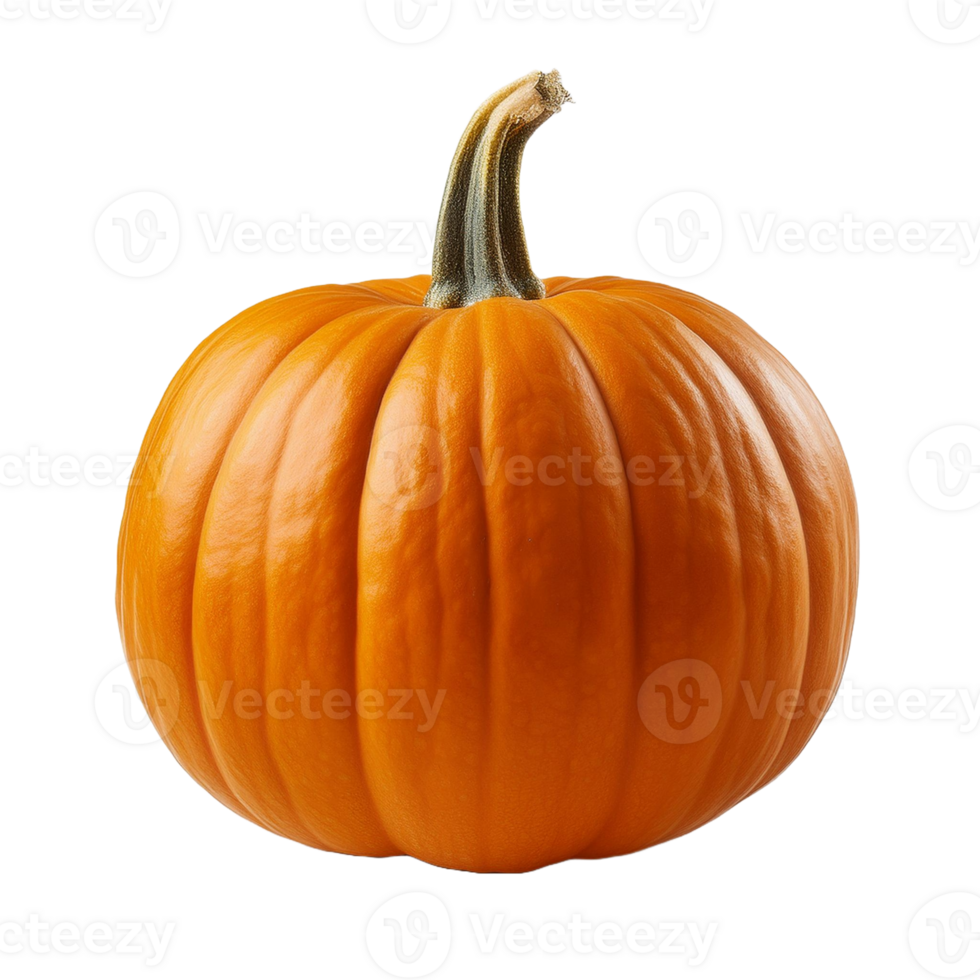 Vegetable Image Without Background Orange Pumpkin png