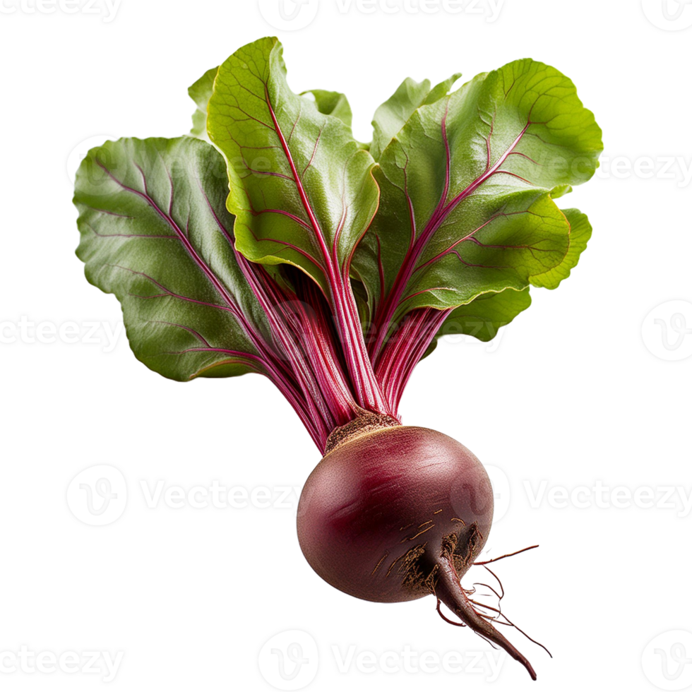 Vegetable Image Without Background Purple Beet png