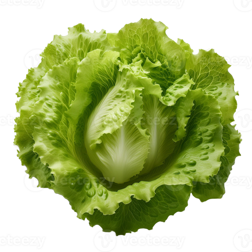 Vegetable Image Without Background Green Lettuce png