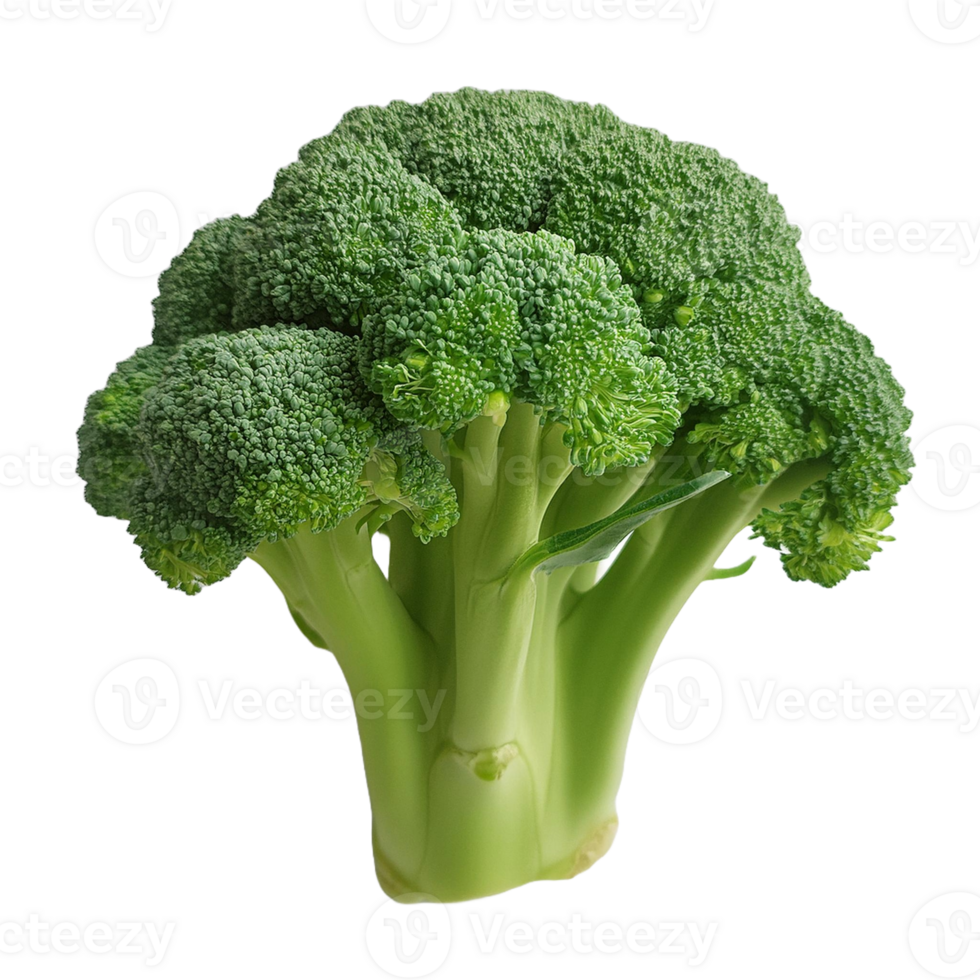 Vegetable Image Without Background Green Brocoli png