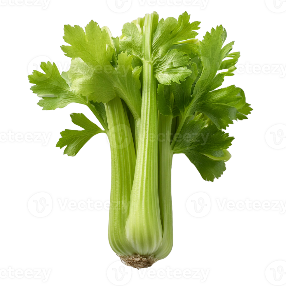 Vegetable Image Without Background Green Celery png