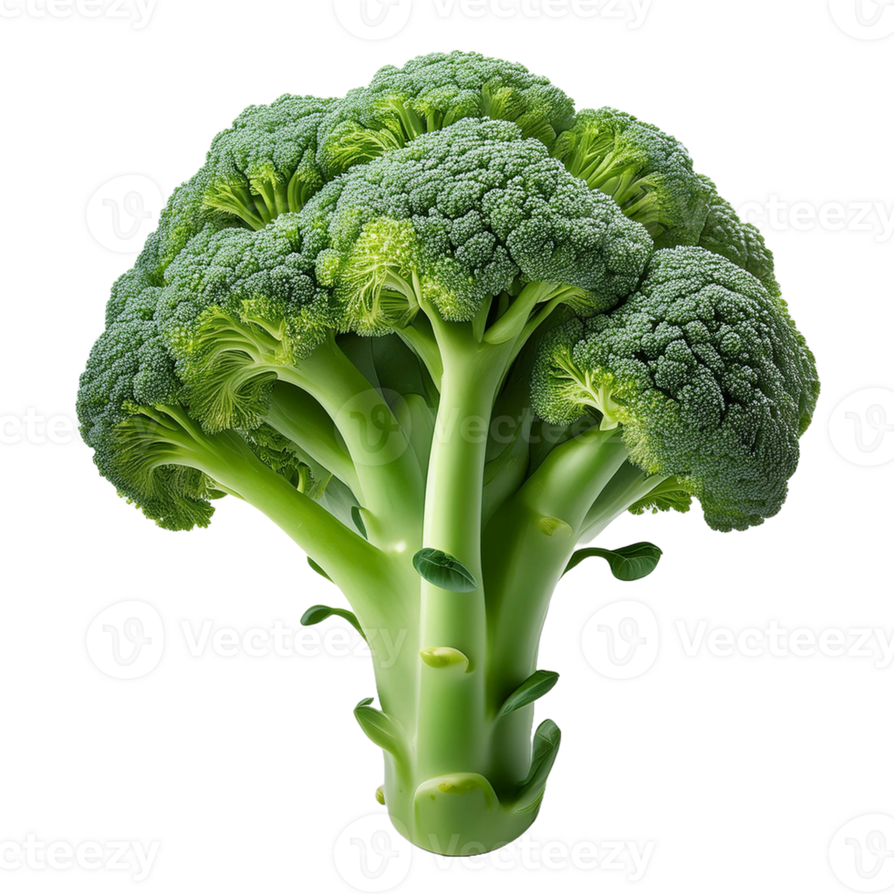 Vegetable Image Without Background Green Brocoli png