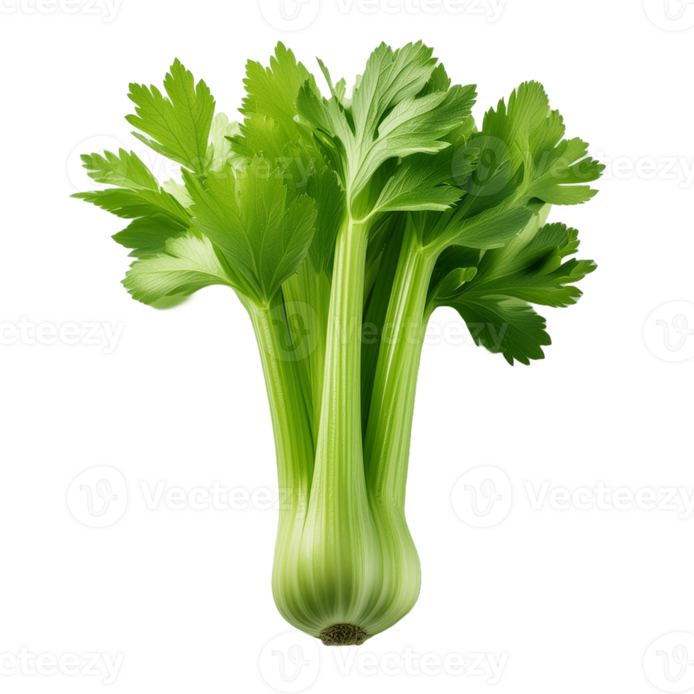 Vegetable Image Without Background Green Celery png