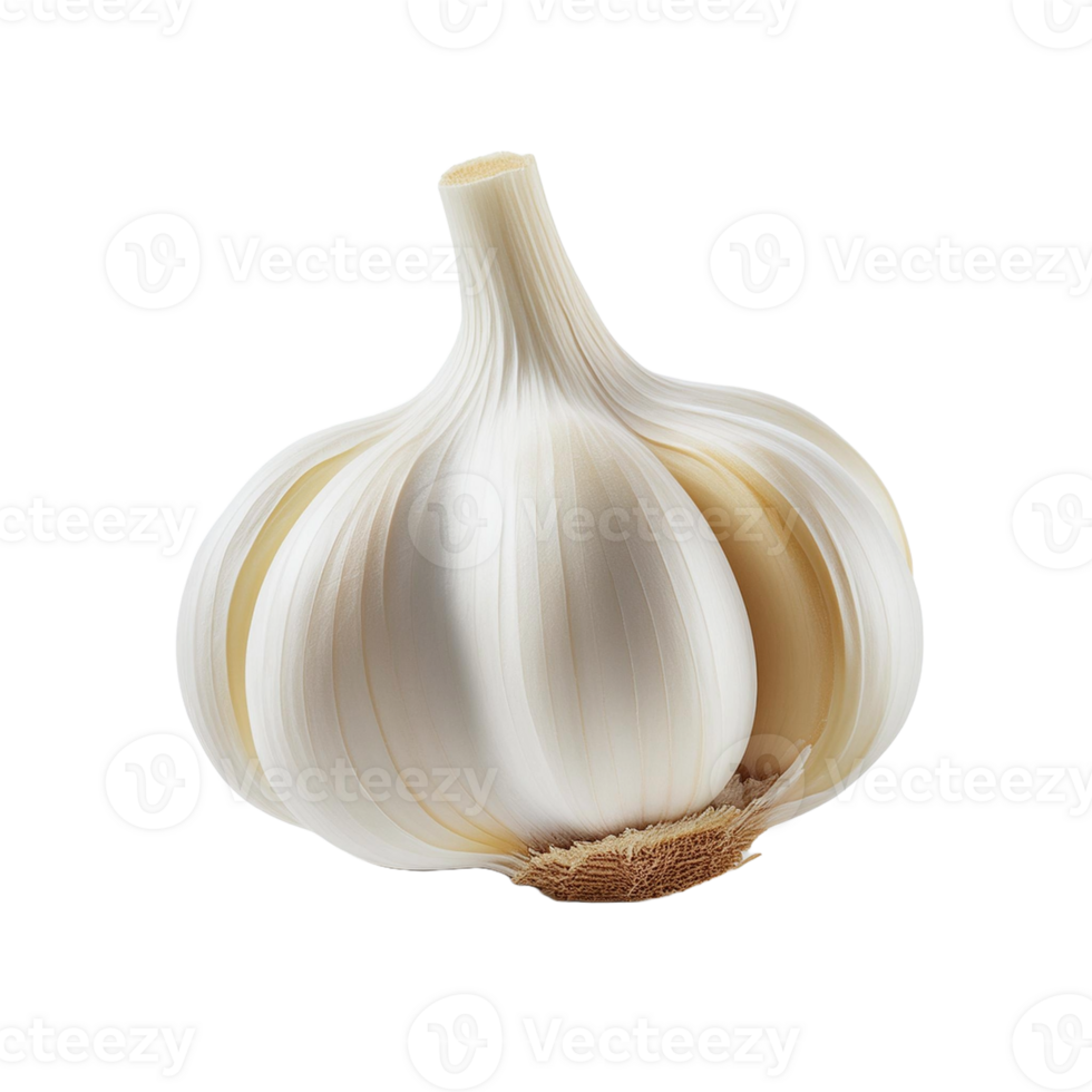 Vegetable Image Without Background White Garlic png