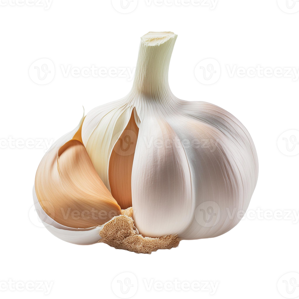 Vegetable Image Without Background White Garlic png