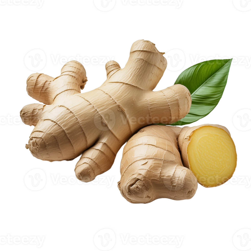 Vegetable Image Without Background Ginger Root png
