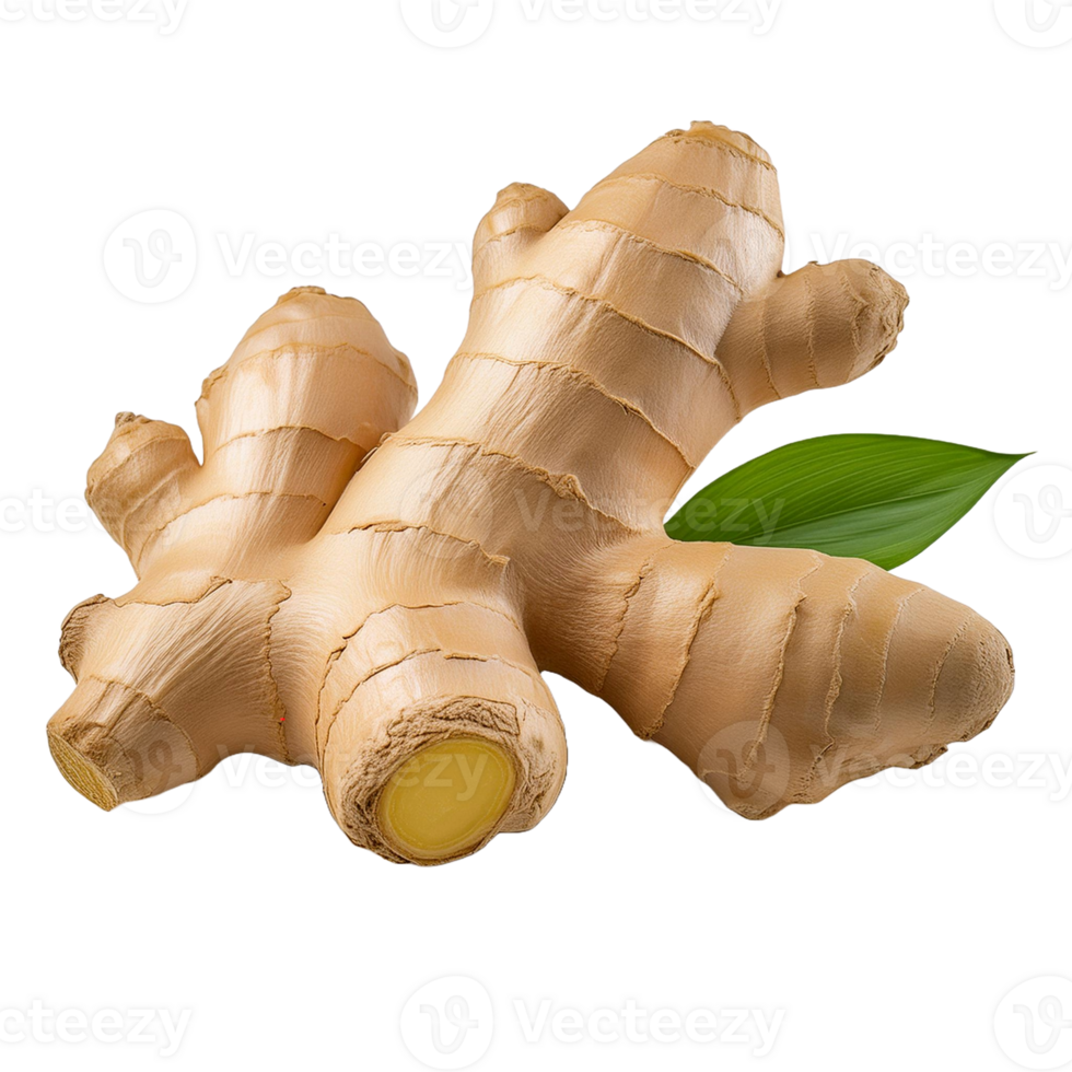 Vegetable Image Without Background Ginger Root png