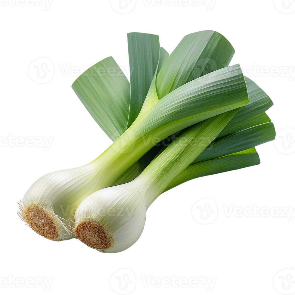 Vegetable Image Without Background Green Leek png