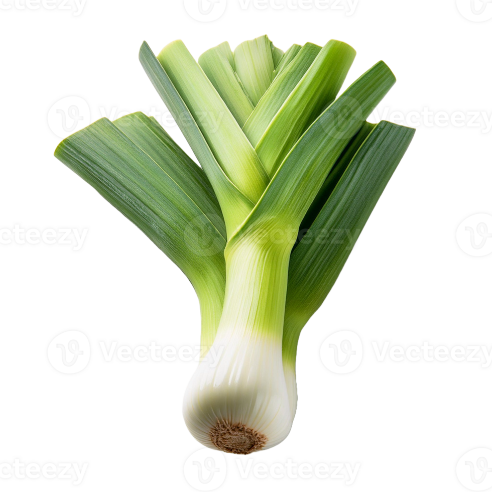 Vegetable Image Without Background Green Leek png