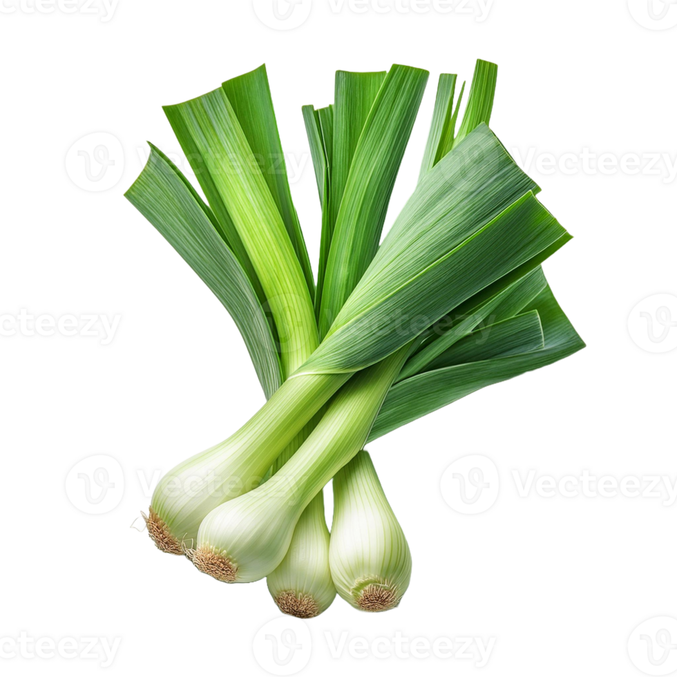Vegetable Image Without Background Green Leek png