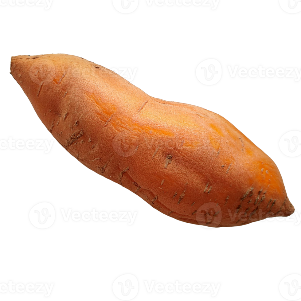 Vegetable Image Without Background Sweet Potato png