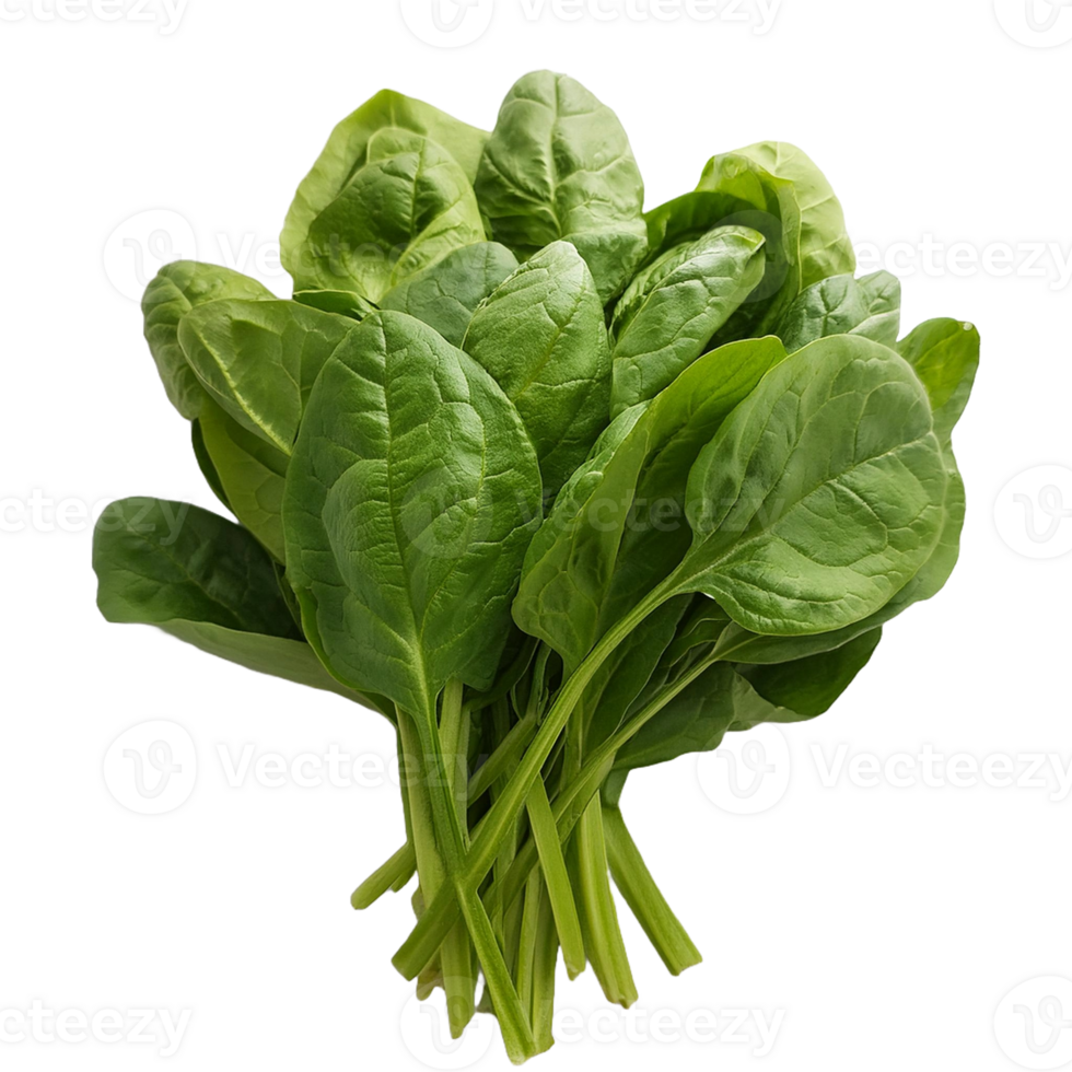 Vegetable Image Without Background Green Spinach png