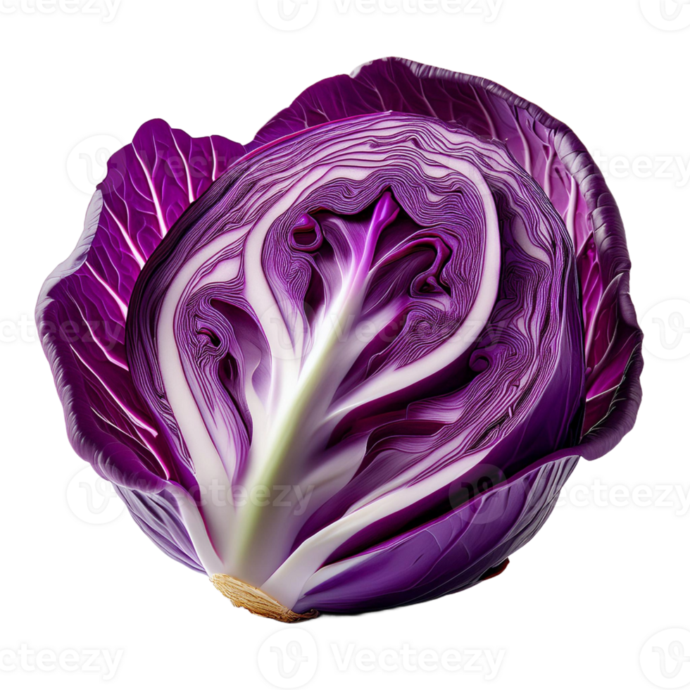 Vegetable Image Without Background Purple Red Cabbage png