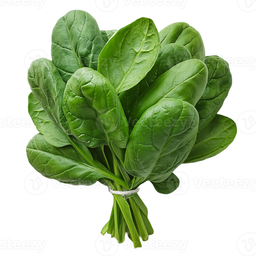 Vegetable Image Without Background Green Spinach png