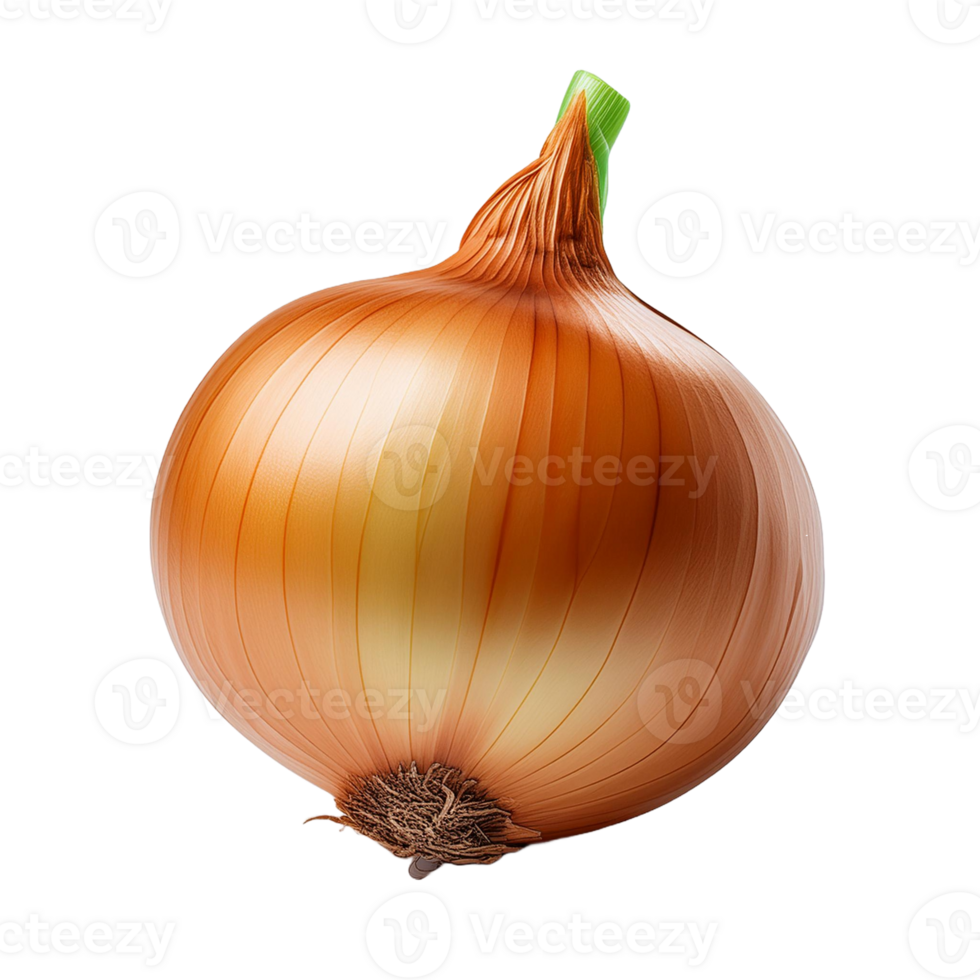 Vegetable Image Without Background Onion png