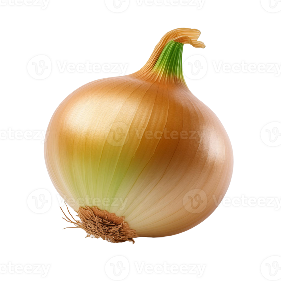 Vegetable Image Without Background Onion png