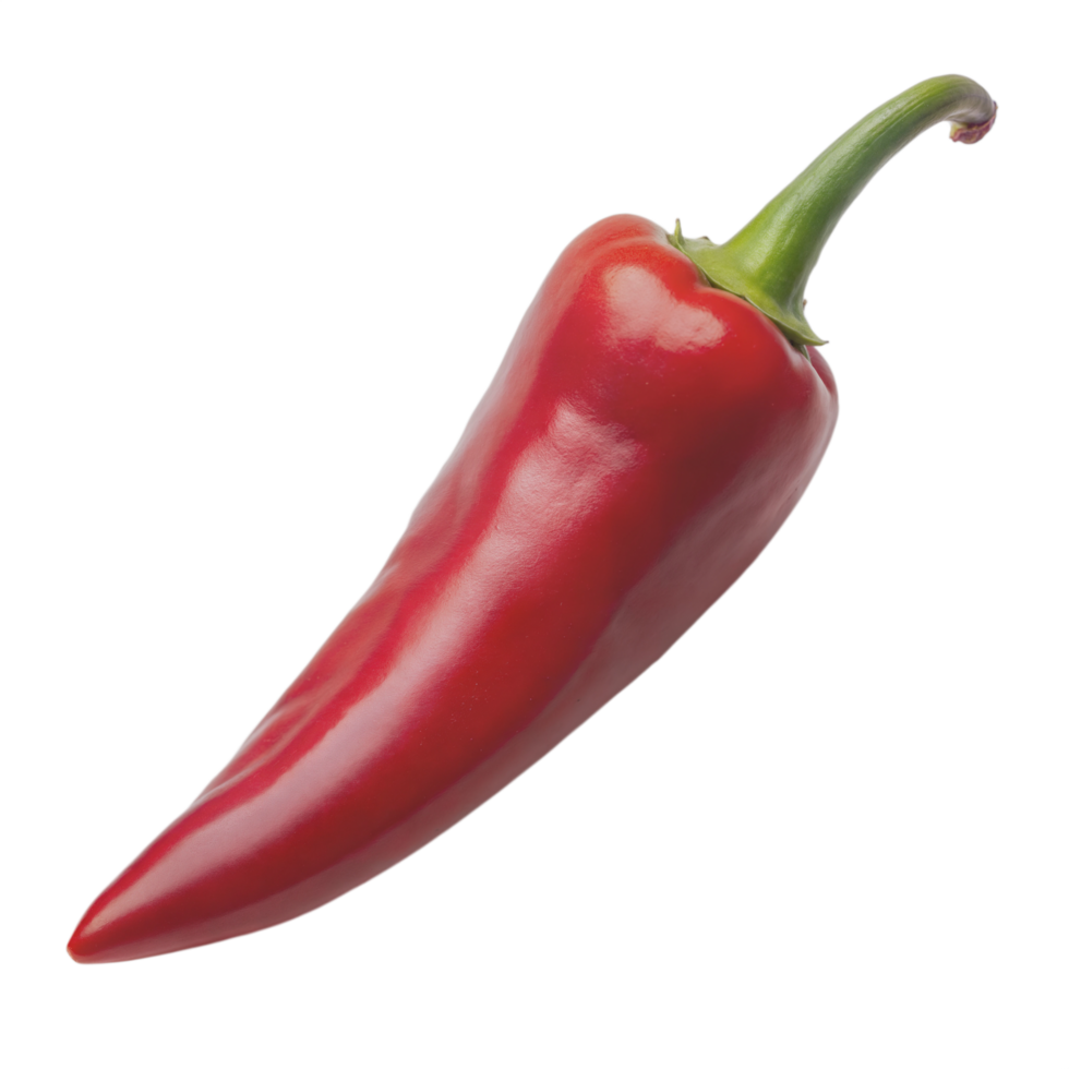 Fresh Red Chili Pepper on Transparent Background png