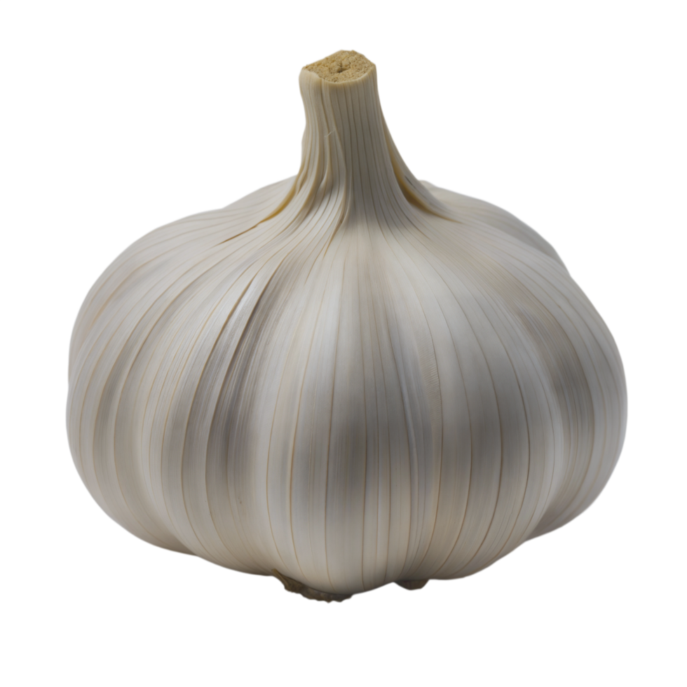 Close-Up of Fresh Garlic Isolated on Transparent Background png