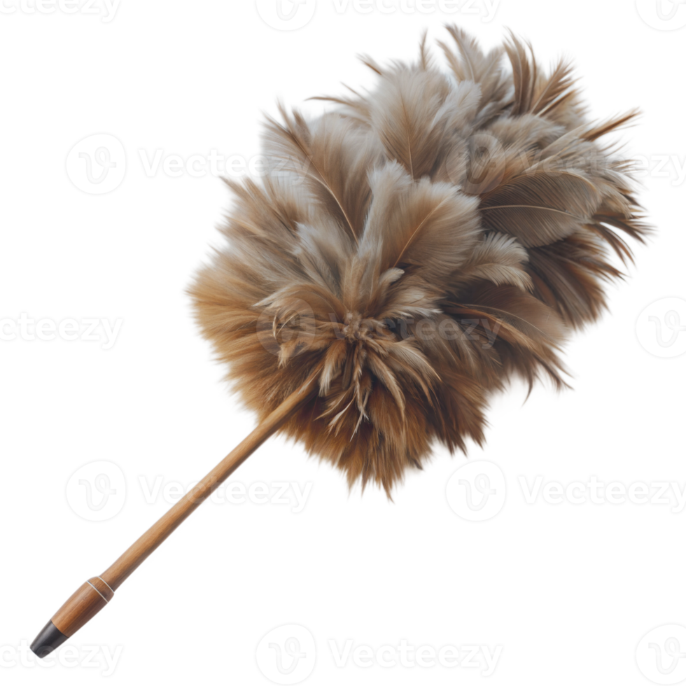 Feather Duster Isolated on Transparent Background for Cleaning png